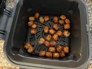 Speedy10 In 1 Rapid Cooker And Air Fryer