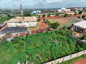 Immigration, Asaba