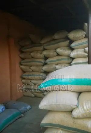 Soya Beans
