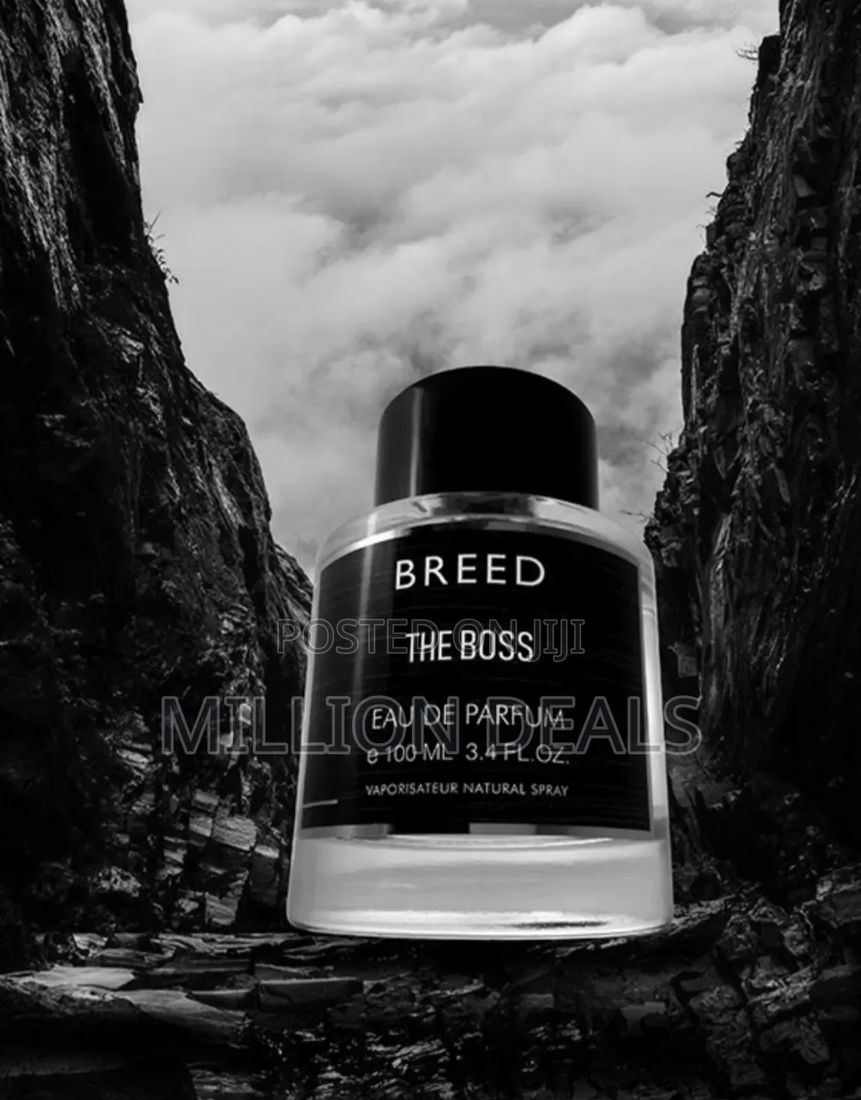 Breed the Boss Eau De Perfume 100ml