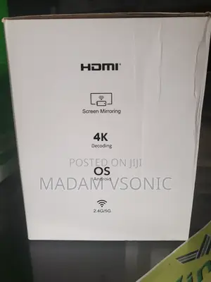 Mini Portable Projector