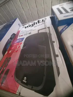 Mighty Professional Audio Portable Party Speaker