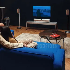 Bang and Olufsen Beosound Premier 2025