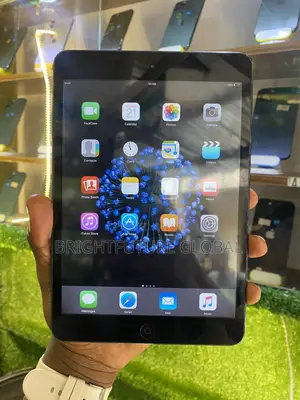 Apple iPad mini 1 16 GB Black