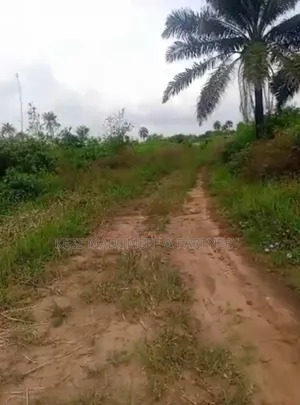 For Sale : 1.6 Hectares Near Uniuyo Teaching Hospital, Uyo