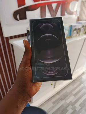 New Apple iPhone 12 Pro Max 256 GB Gray
