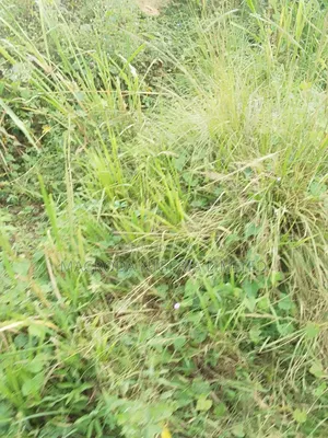 5740sqm Corner Piece of Land