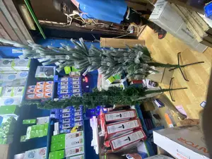 6 Fit Christmas Lights
