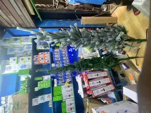 6 Fit Christmas Lights