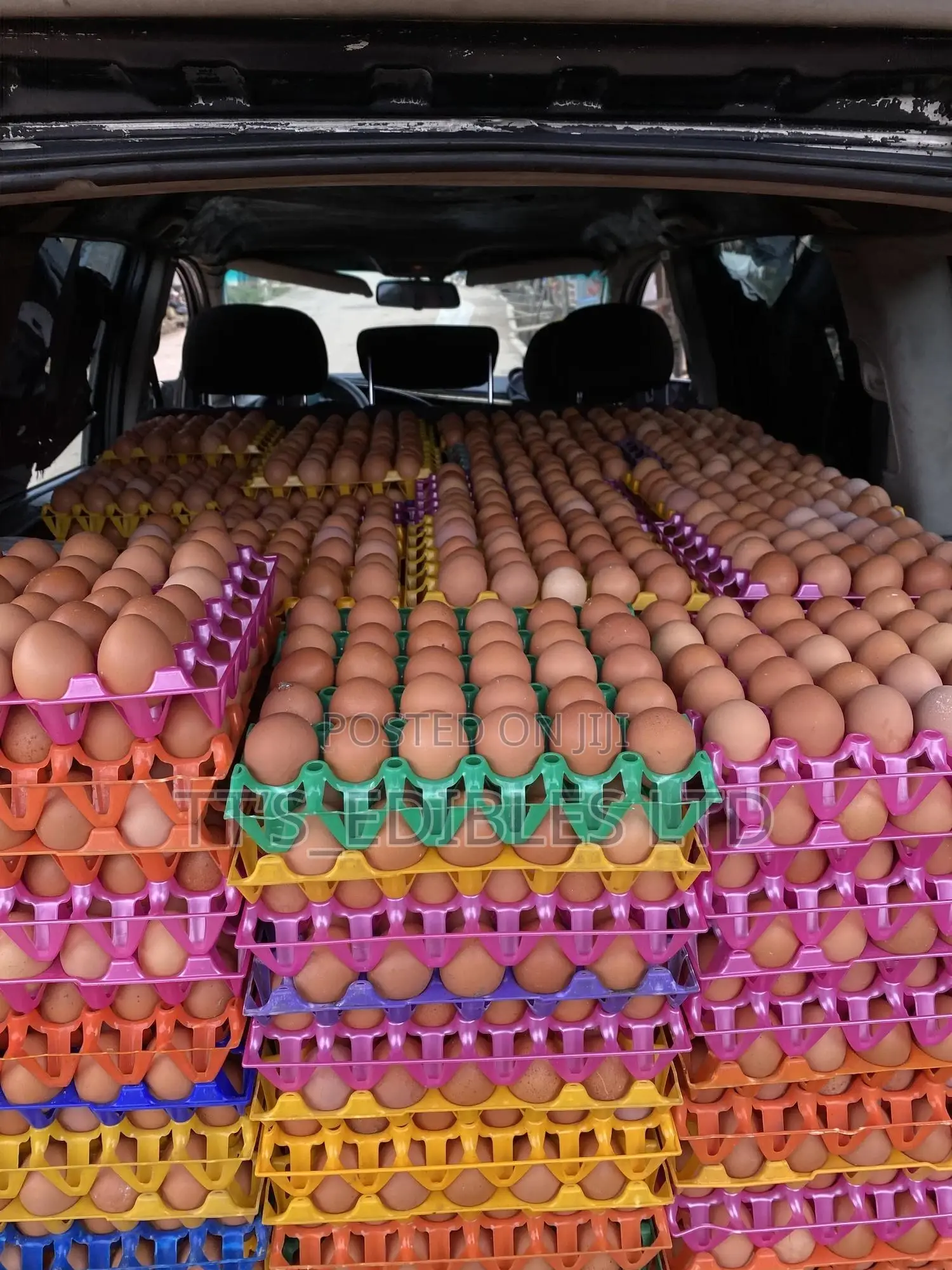 Farm Fresh Eggs
