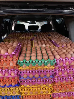 Farm Fresh Eggs