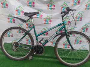 Adult Bicycle Size 26 Magna With Water Bottle Holder