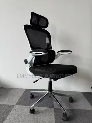 Ergonomic Mesh Office Chair.