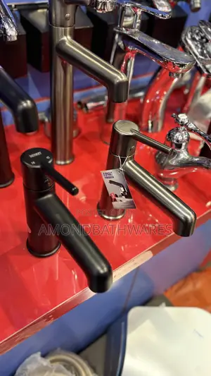 Basin Faucet