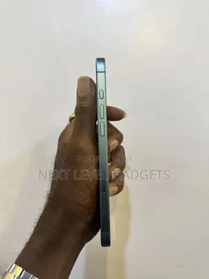Apple iPhone 16 Plus 256 GB Green