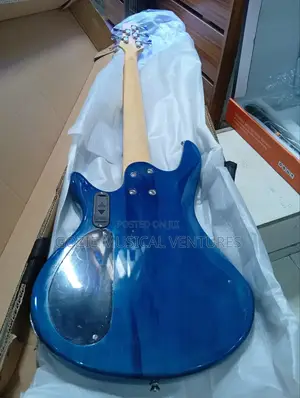 Bass Guitar Five String Active Bass Guitar