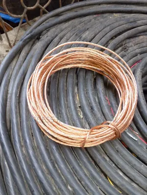 Thunder Arrestor