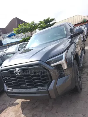 Toyota Tundra 2024 Gray