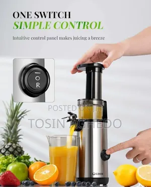 Electric Juicer