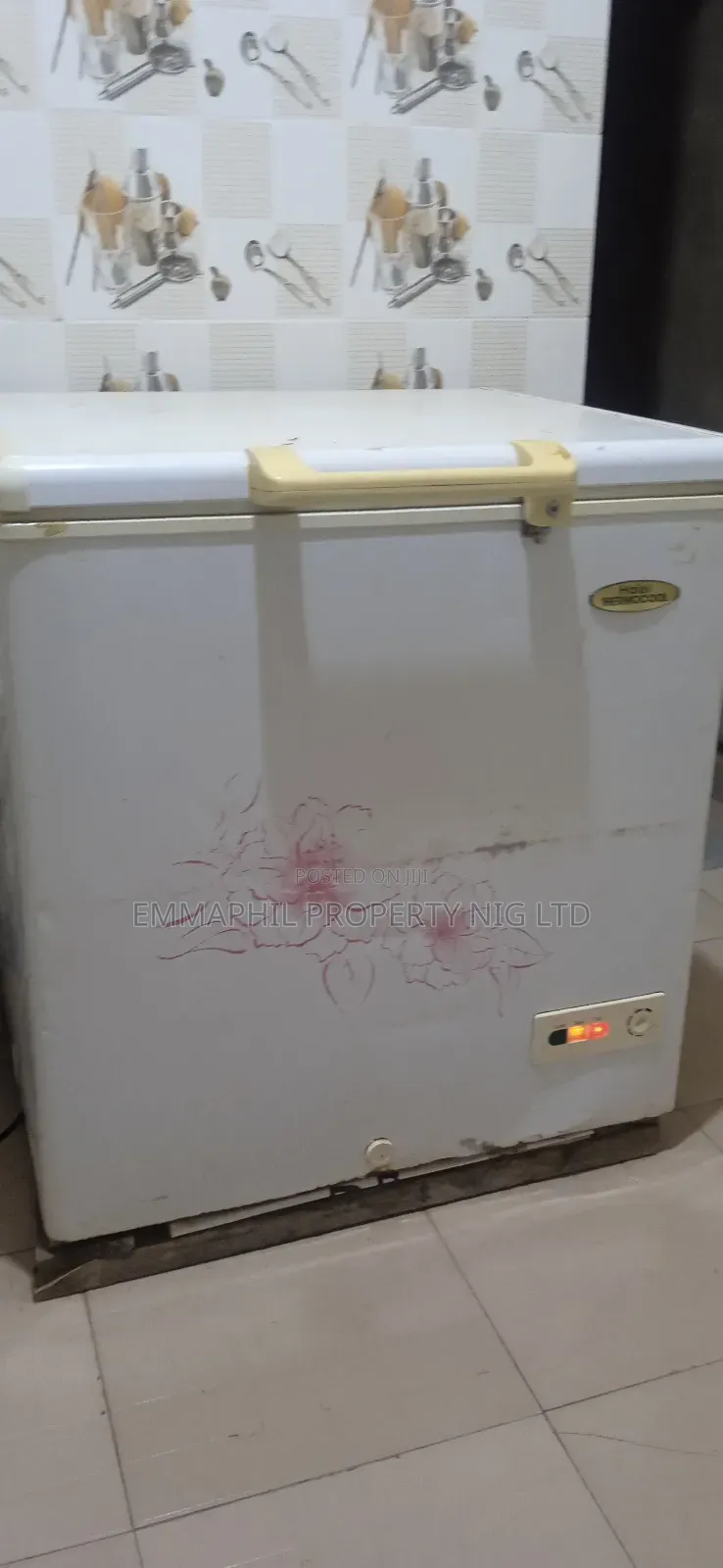 Thermocool Deep Freezer