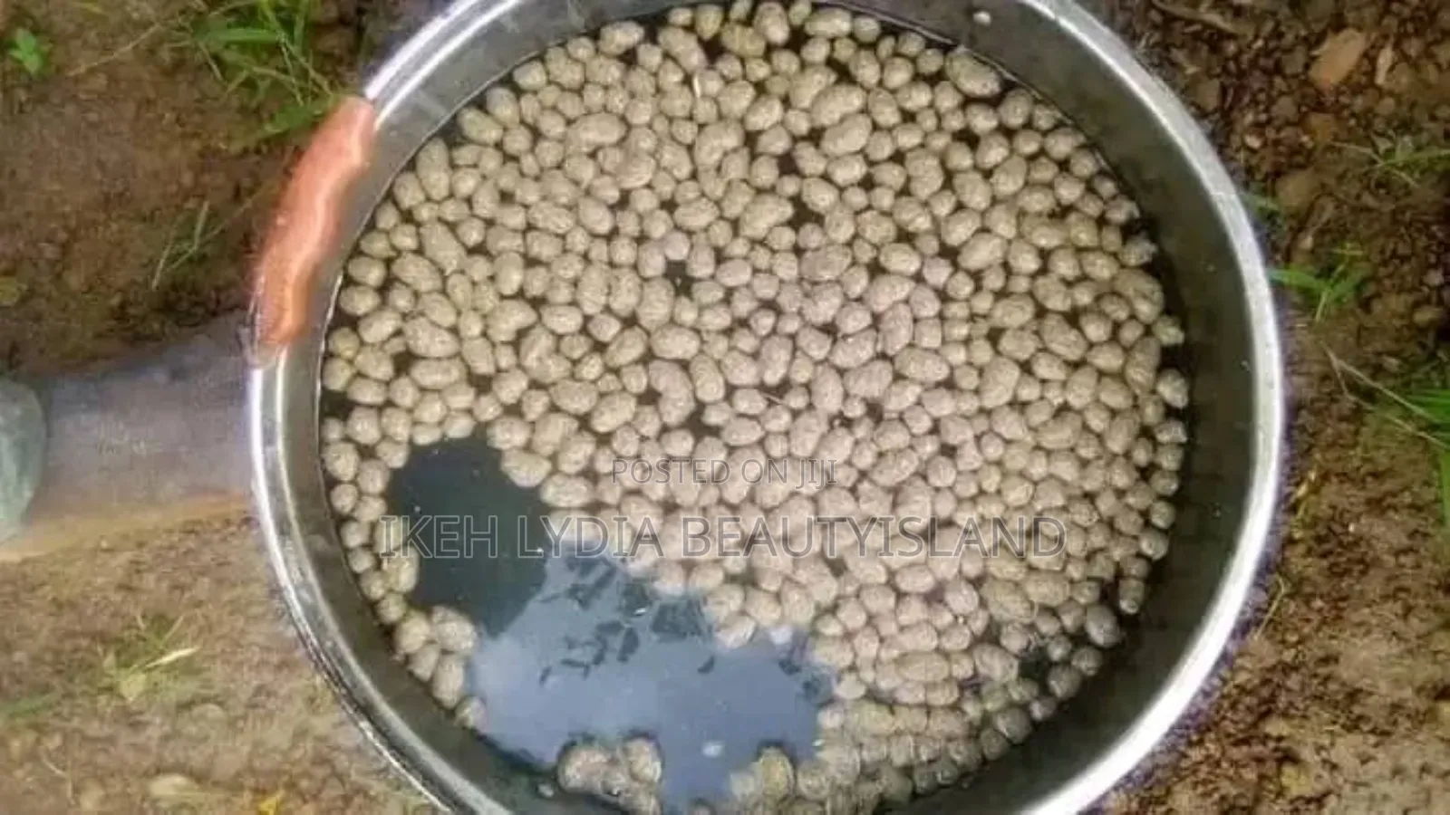 Island Floating Fish Feed