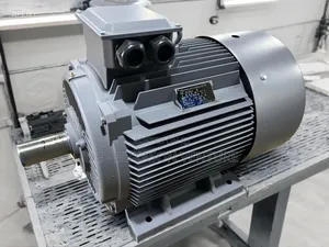 Original Brand New High Quality 15hp Three Phase Electric Motor