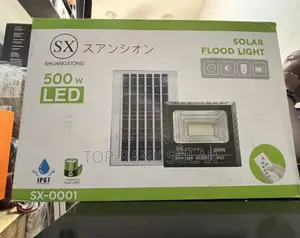 500watts Flood Light