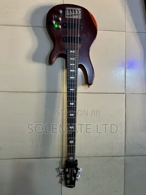 Active Bass Guitar