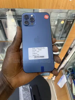 Apple iPhone 12 Pro Max 256 GB Blue
