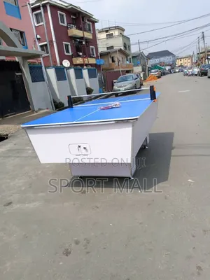 Local Snooker 2 in 1 With Table Tennis Board