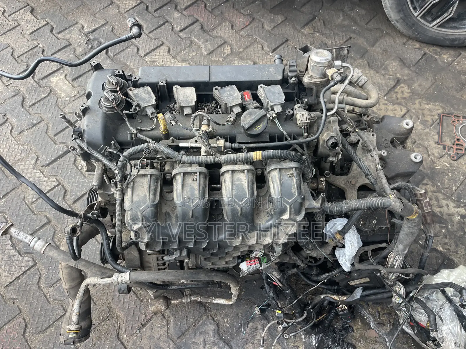 Evogue Gear Box