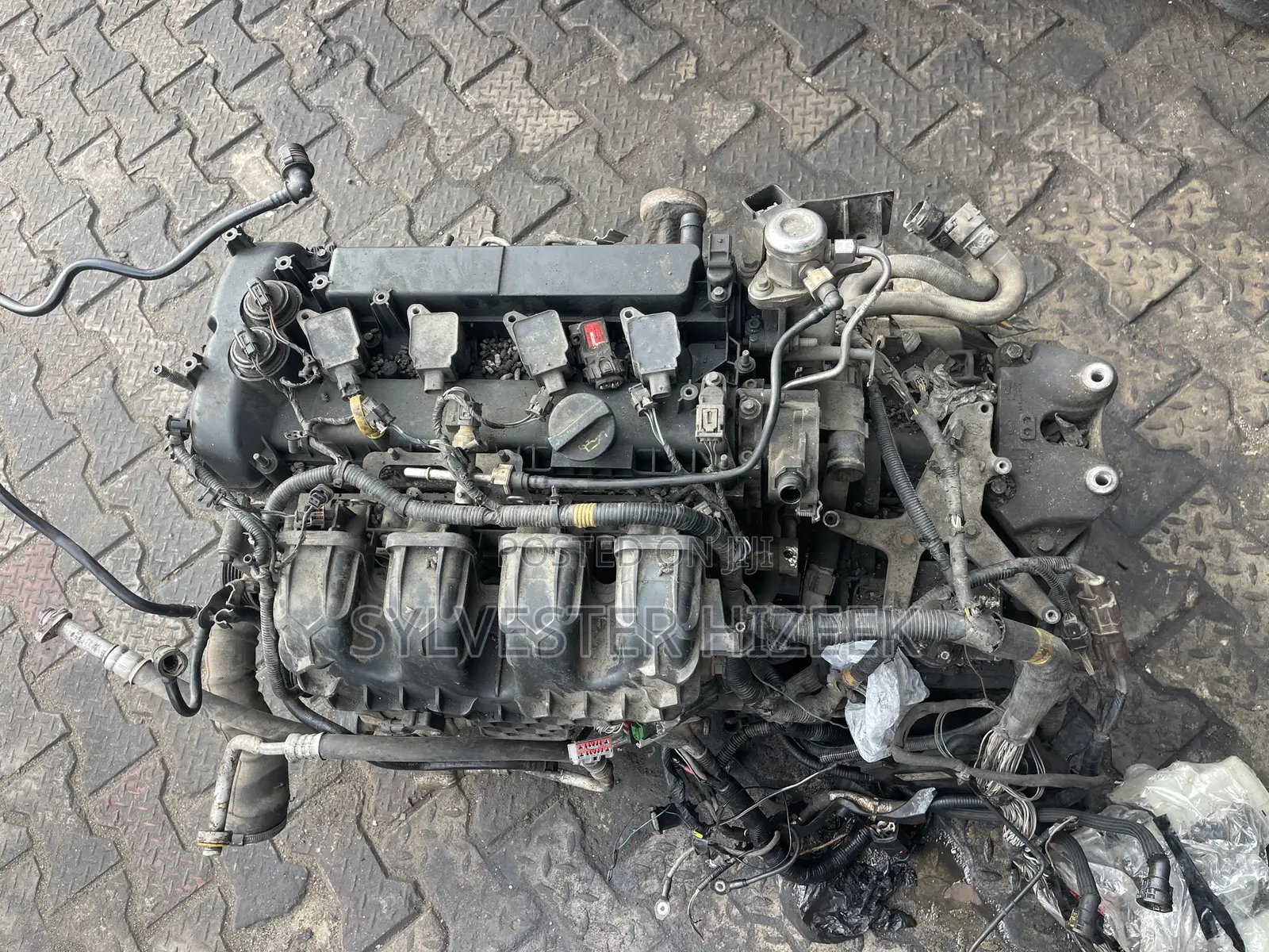 Evogue Gear Box