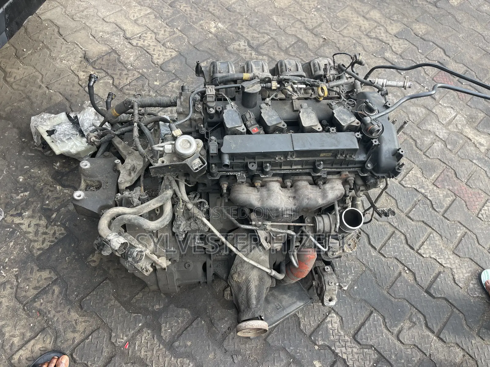 Evogue Gear Box