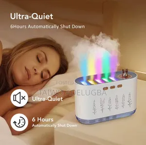 Air Humidifier Usb Essential Oil Diffuser