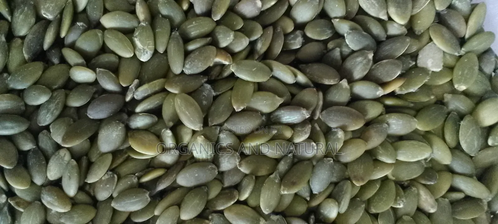 250g Pumpkin Seed