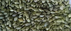 250g Pumpkin Seed