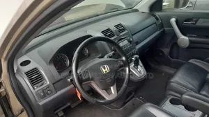 Honda CR-V EX 4dr SUV AWD (2.4L 4cyl 5A) 2010 Brown