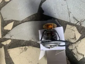 F150 Thermostat