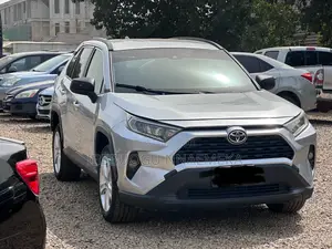 Toyota RAV4 LE AWD 2019 Gray