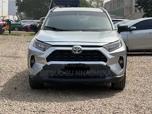 Toyota RAV4 LE AWD 2019 Gray