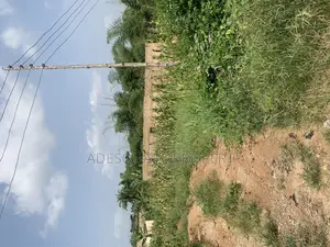 One Plot of Land at Awosun