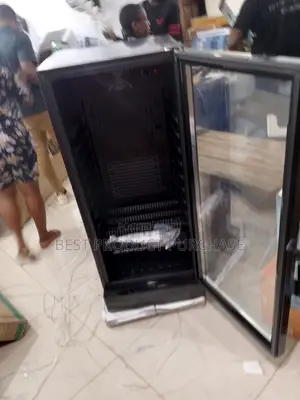 Brand New Snowsea Lc-270w Single Door Chiller – Energy Saving