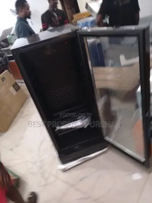 Brand New Snowsea Lc-270w Upright Cooler – Drinks Meat