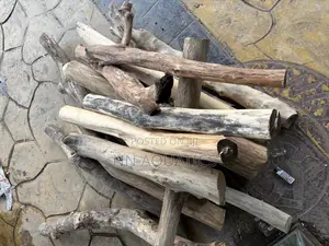 Drift Wood