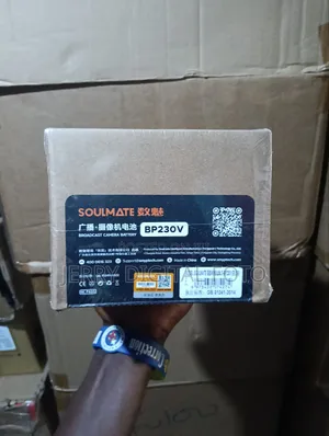 Soulmate Bp-230v v Lock Battery