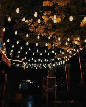 String Light Lamp Holder 10meter 20lampholder Complete With Bulb