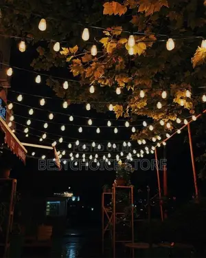String Light Lamp Holder 10meter 20lampholder Complete With Bulb