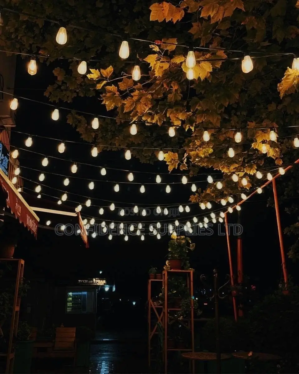 String Light Lamp Holder 10meter 20lampholder Complete With Bulb