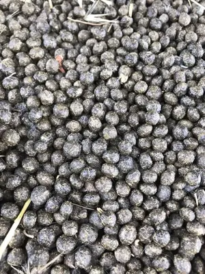Rabbit Urine And Rabbit Droppings
