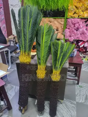 Plant Available in Three Sizes
